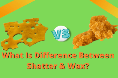 What is the Difference Between Marijuana Wax and Shatter? 1 Shatter And Wax