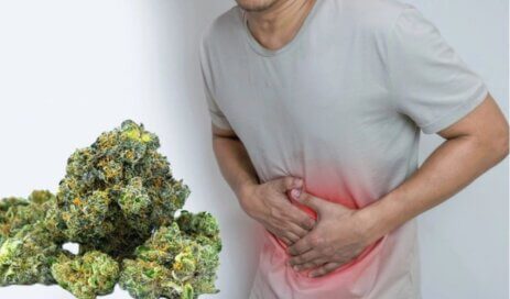What Strain is Best for Stomach Pain? 4 buy cannabis flower online