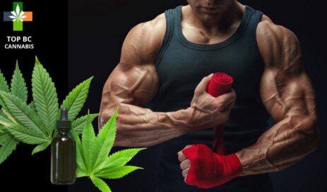 Can CBD be Used as a Bodybuilding Supplement? 11 Buy CBD Online Canada