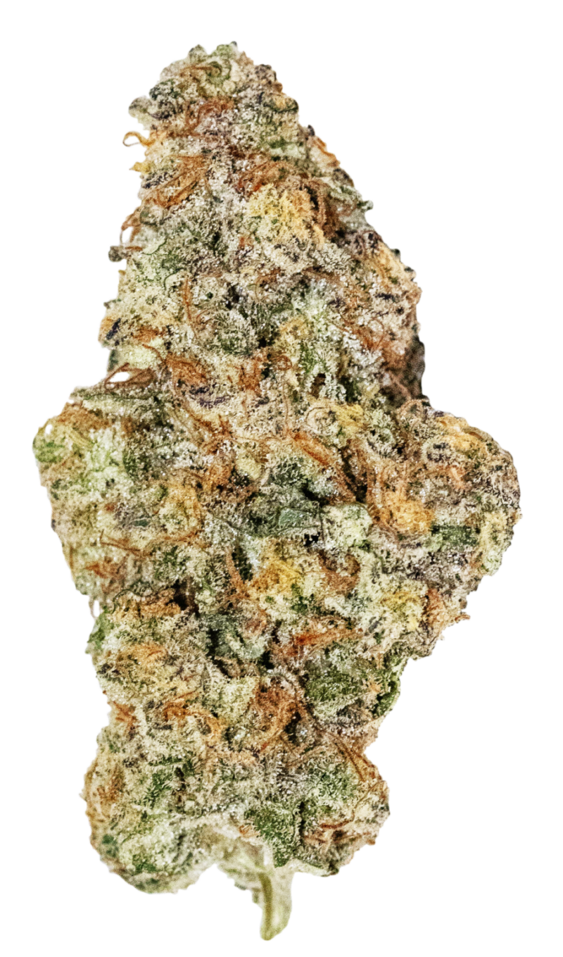 Miracle Alien Cookies X1<MAC1>