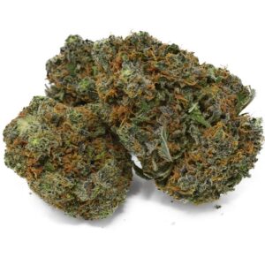 Buy Medical Marijuana in Canada