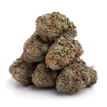 Pink Goo 5 Pinkman Goo 11