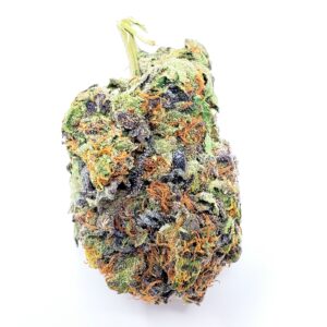 G13-Government Indica Strain 1