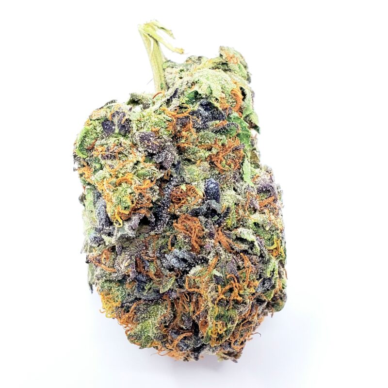 G13-Government Indica Strain 1