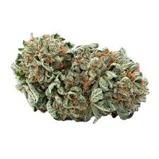 Afghan Kush