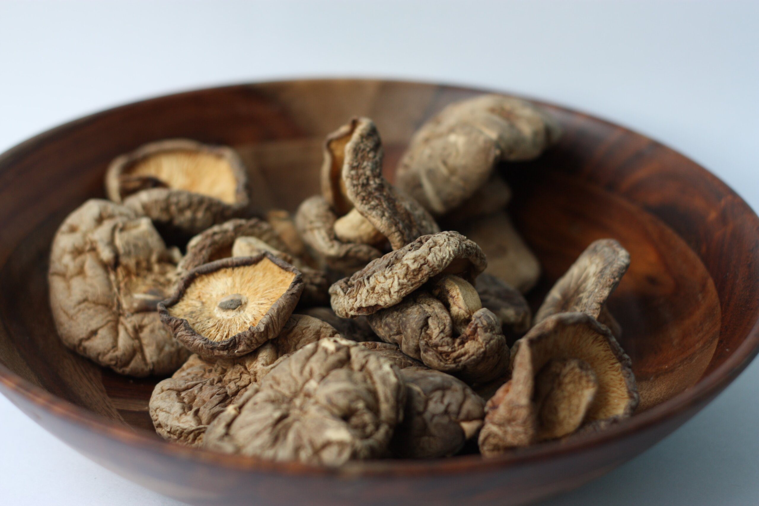magic mushroom