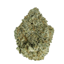 Rainbow Driver Strain