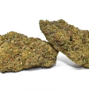 BACKBEAT OG ( AAAA )