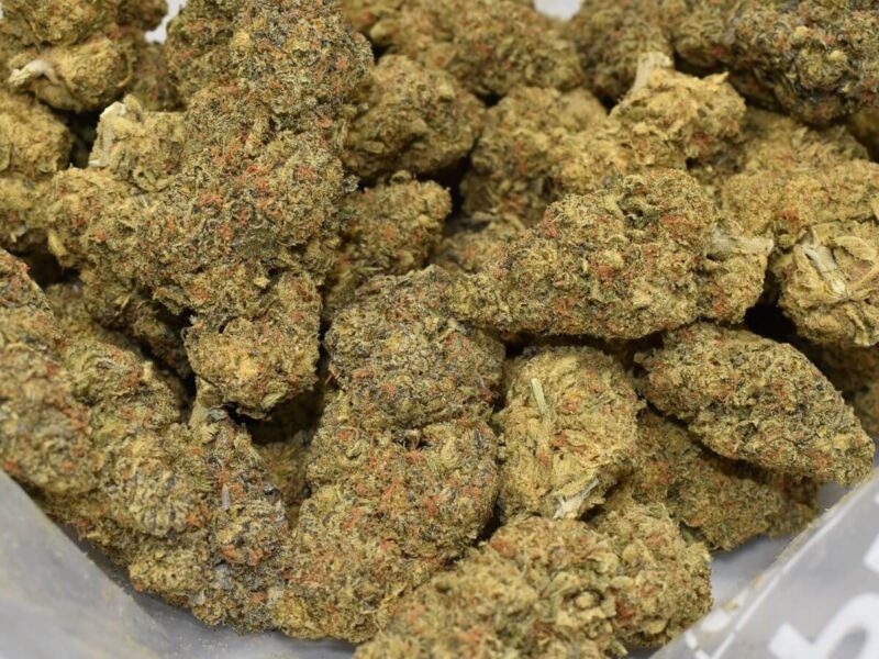 BACKBEAT OG ( AAAA ) - Image 3