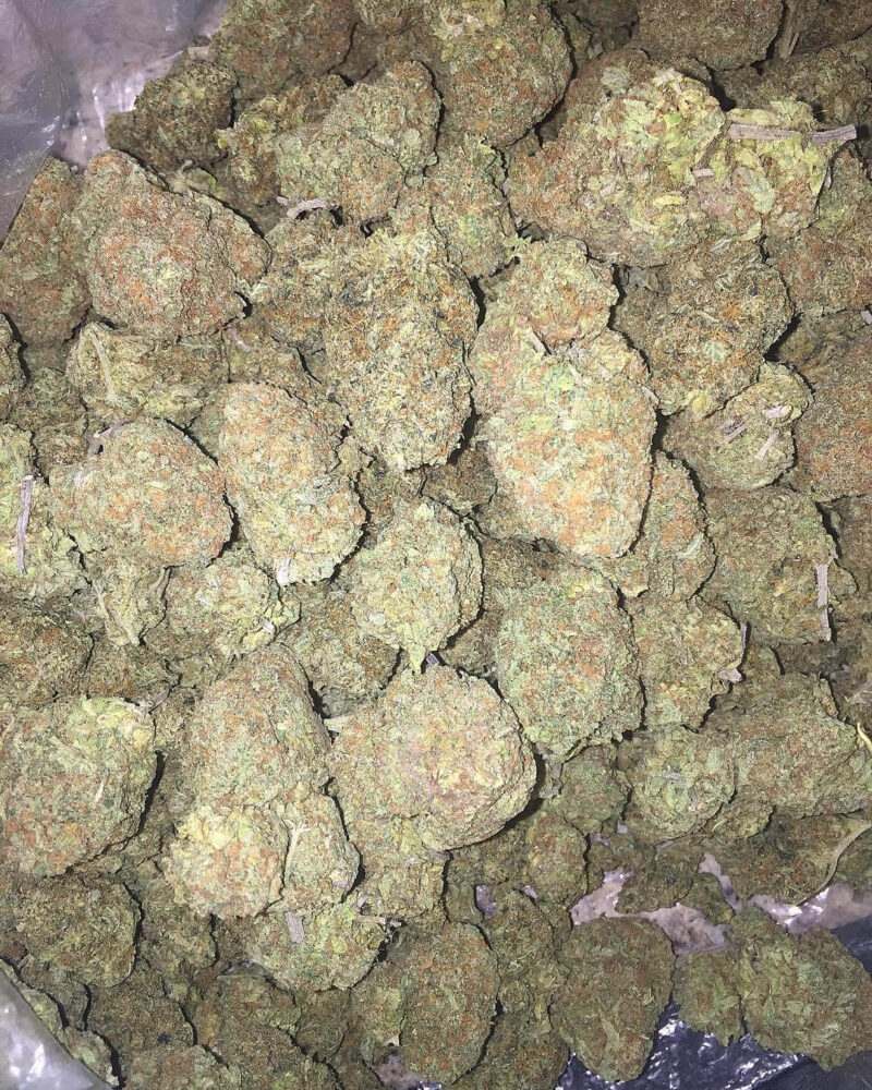 Blue Cheese - Image 2
