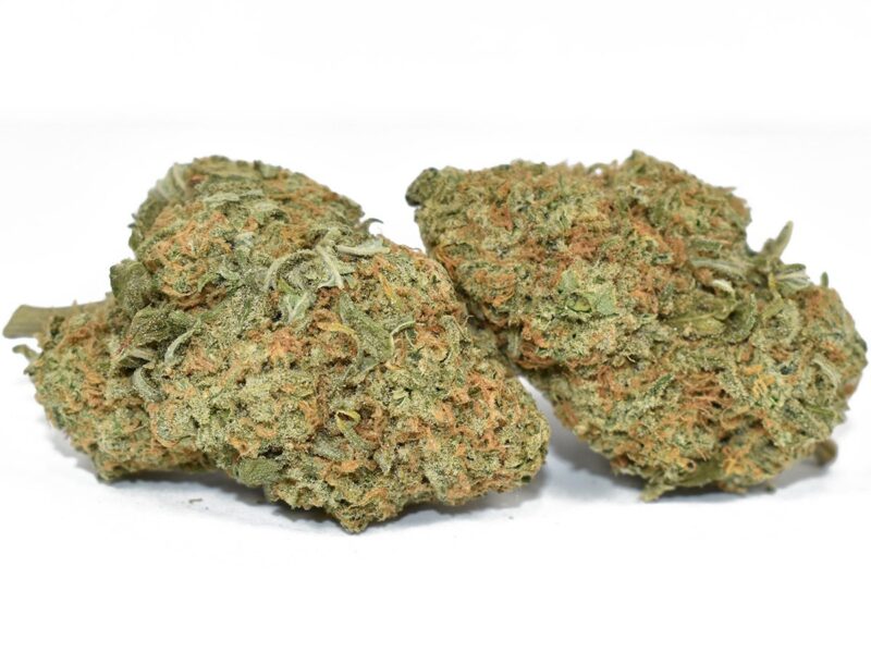 order bc bud online