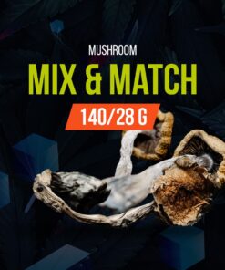 Mix and Match Mushroom 28g