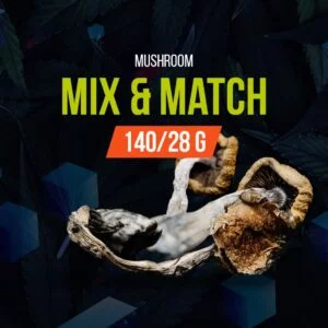 Mix and Match Mushroom 100/28g