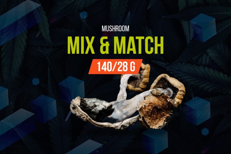 Mix and Match Mushroom 100/28g