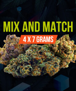 Home 25 Mail Order Weed Online Canada