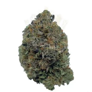 Buy Medical Marijuana in Canada