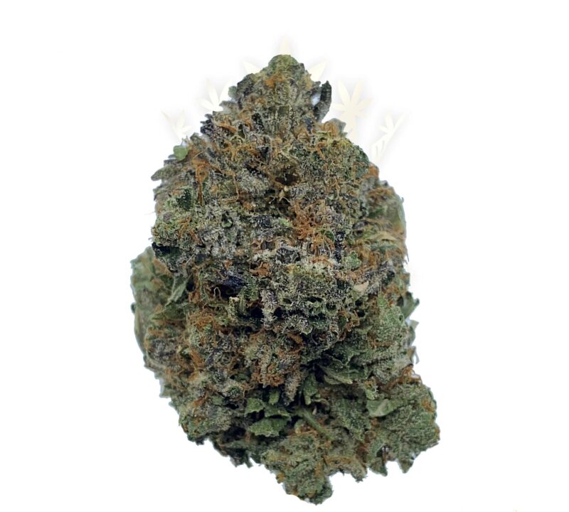 Buy Medical Marijuana in Canada