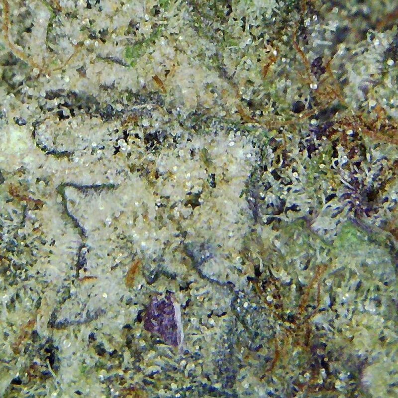 cannabis vancouver bc