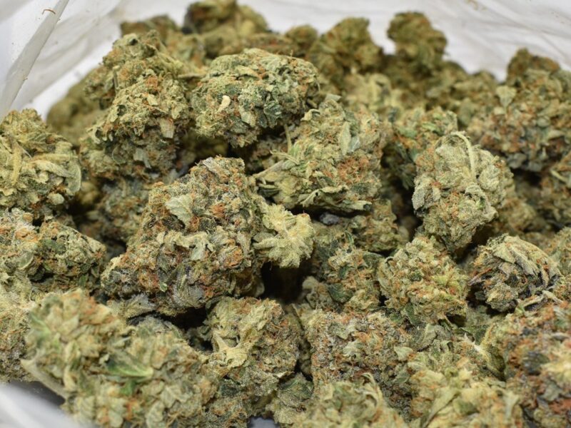 order bc bud online