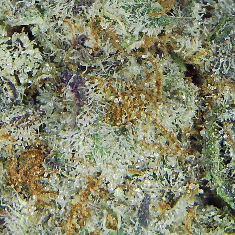 Order Medical Cannabis Online Canada