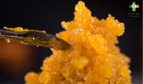 What is High Terpene Full Spectrum Extract? How is HTFSE Made? 1 mail order weed bc