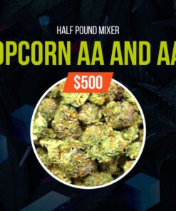 Home 23 Buy Cannabis Hybrid Flowers Online