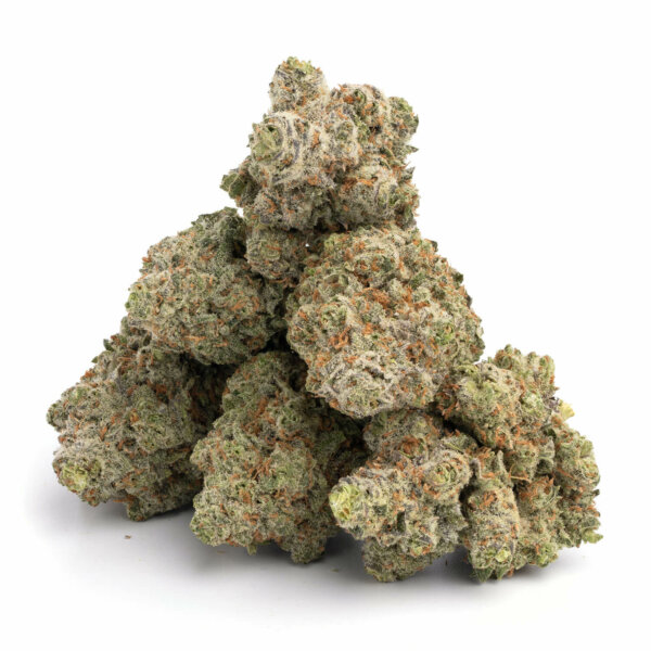 Super Pink 3 Super Pink 11 600x600 1