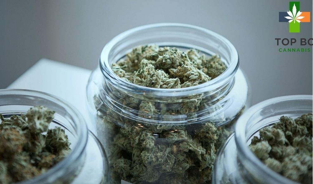 Rehydrate Your Cannabis Buds