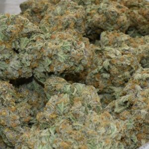 503 WIFI (AAAA+)