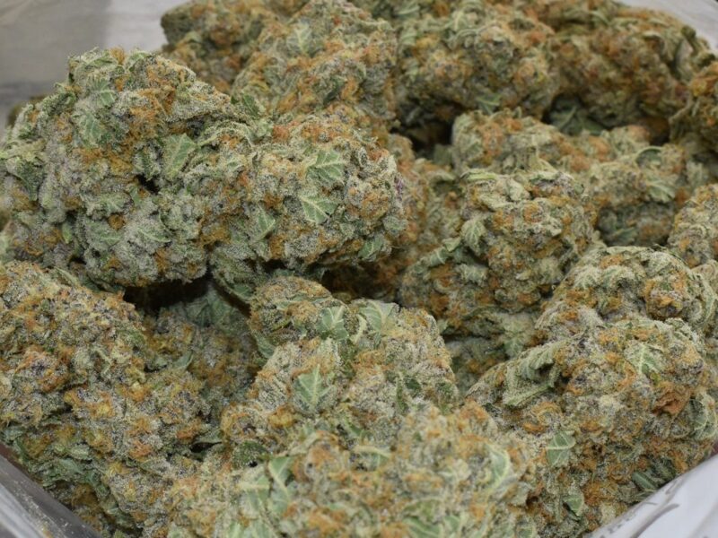 503 WIFI (AAAA+)
