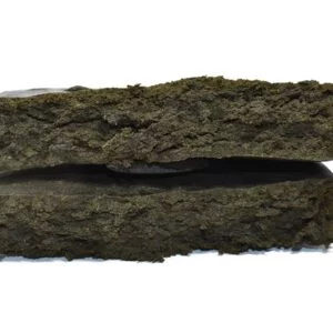 APOLLO 11 HASH