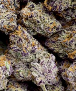 Grand Daddy Purple Popcorn AAAA