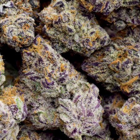 Grand Daddy Purple Popcorn AAAA