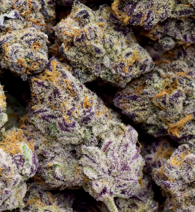 Grand Daddy Purple Popcorn AAAA