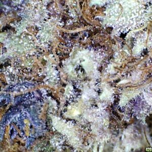 Fire OG AAA