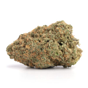 Red Congolese strain