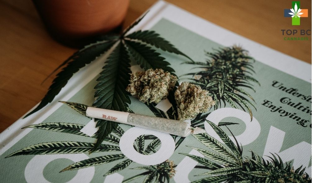 Some Cannabis Basics to Know Before Visiting Any Dispensary