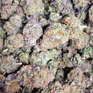 Giesel strain