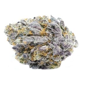 Giesel strain