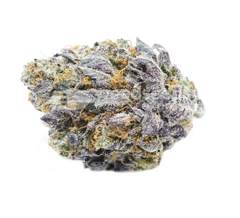 Giesel strain