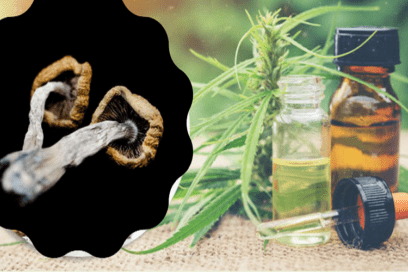 5 Benefits of Blending CBD & Magic Mushroom 8 5 Benefits of Blending CBD & Magic Mushroom