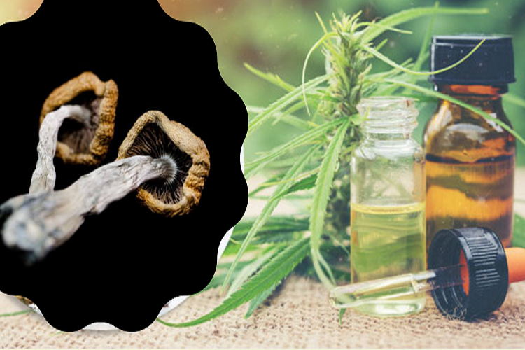 5 Benefits of Blending CBD & Magic Mushroom
