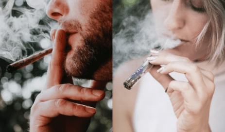 What is Better: Smoking or Vaping Cannabis? 1 Buy Cannabis Vape Pens Online