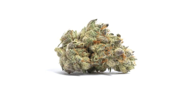Organic Pave Popcorn | Exotic Weed