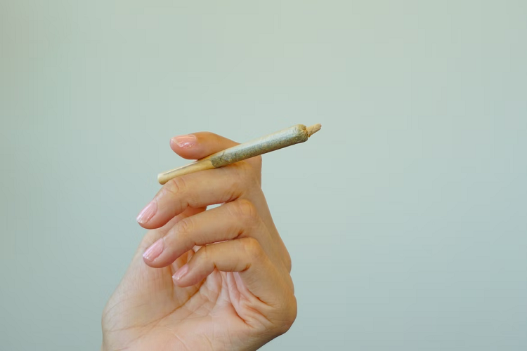 Choosing a Cannabis Pre-Roll