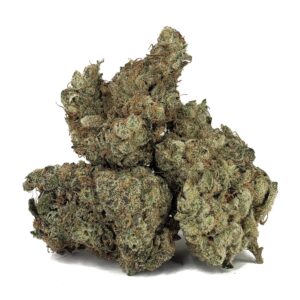 Larry Bird Kush