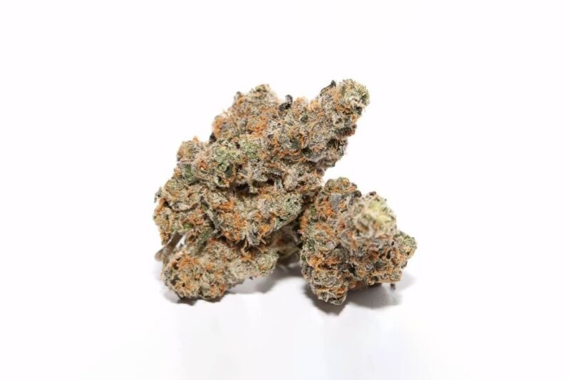 Candyland strain