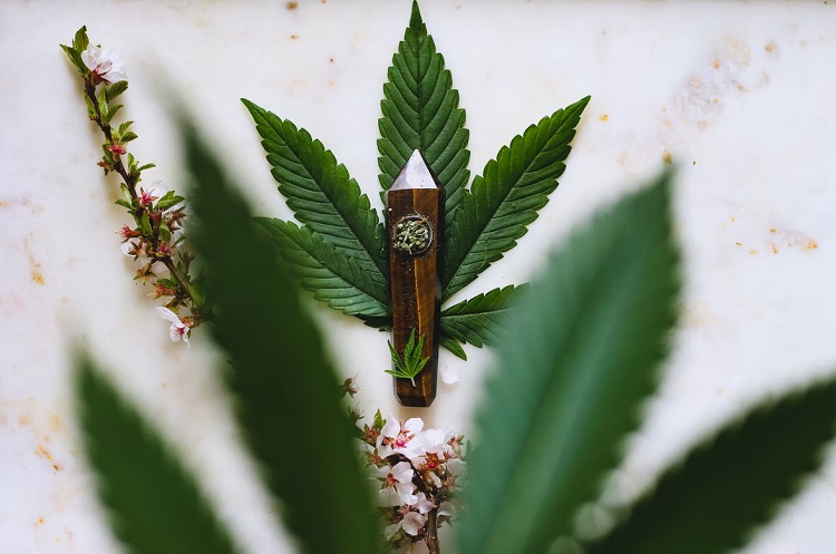 Marijuana Accessories Every Stoner Needs