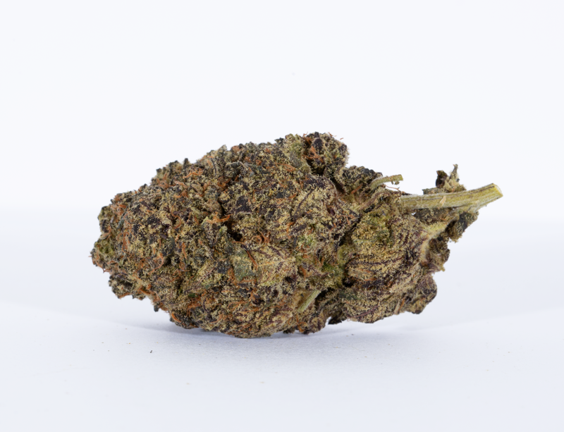 All Gas OG (Exotic)