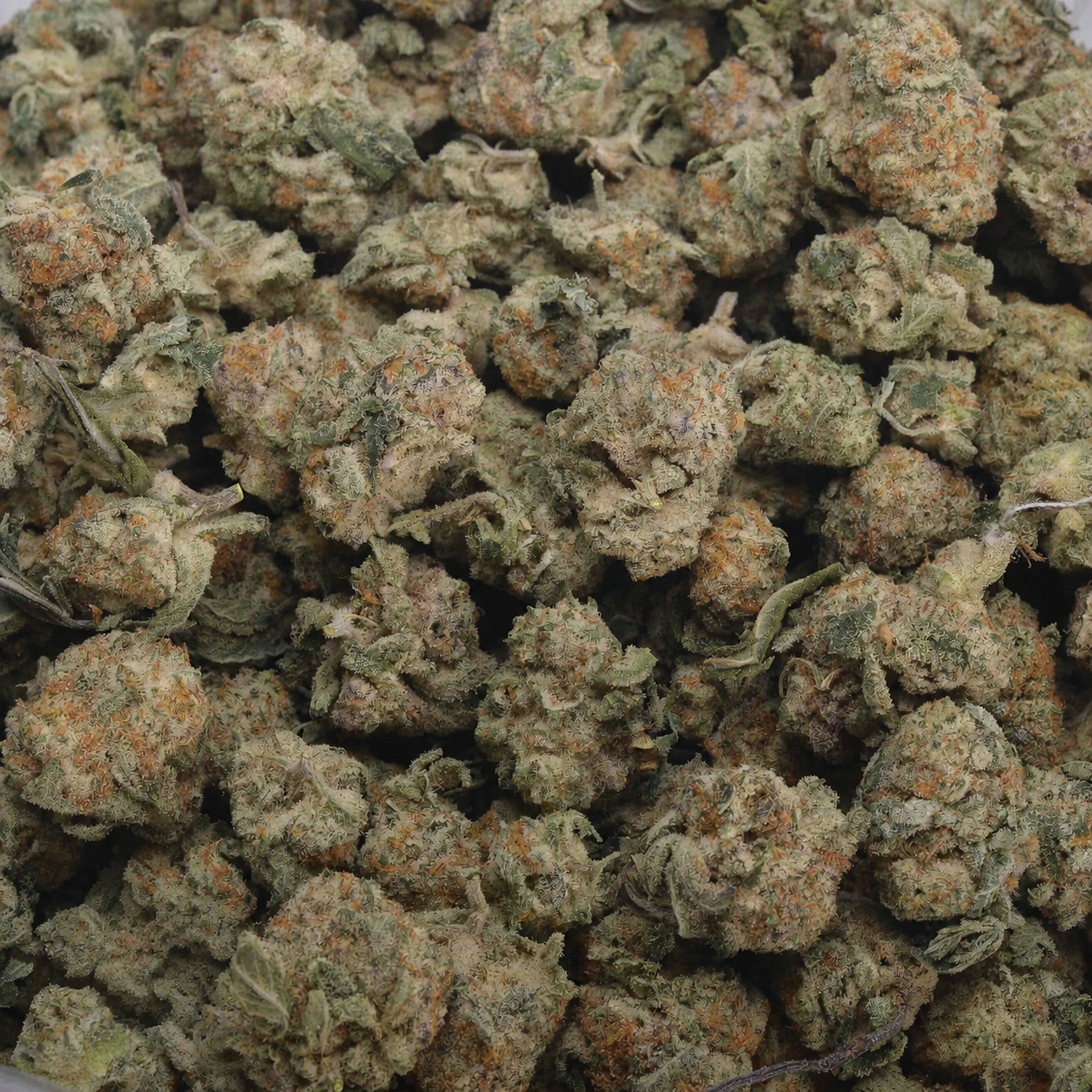 Platinum Tiger Cookies Popcorn 2 platinum1